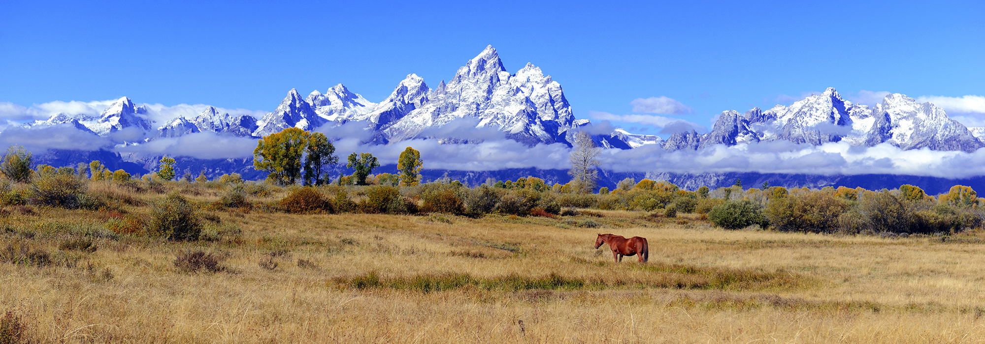 Wyoming