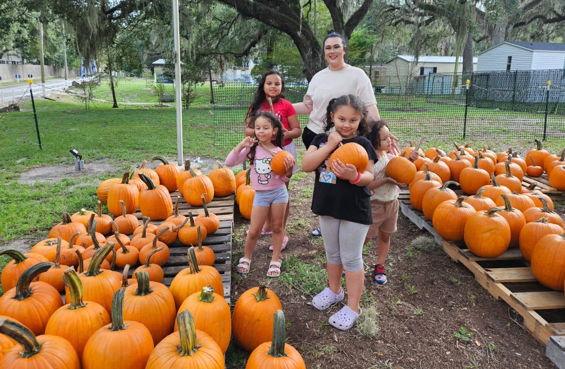 RHP Bayshore children playing in the pumpkin patch