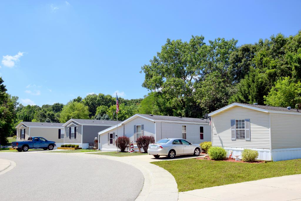 Brighton Village street view in Brighton MI