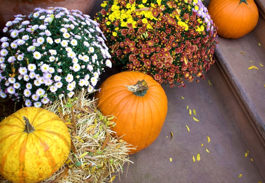 Potted fall chrysanthemums, pumpkins, and decorative hay on porch steps